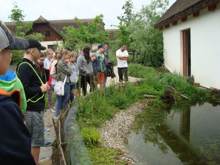 archeoskanzen-10.jpg